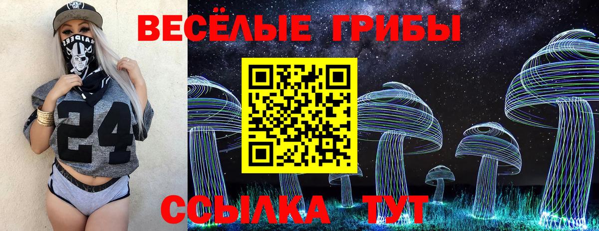 Петрозаводск  Псилоцибиновые грибы прущие грибы  Вход с VPN  Псилоцибиновые грибы Cubensis 