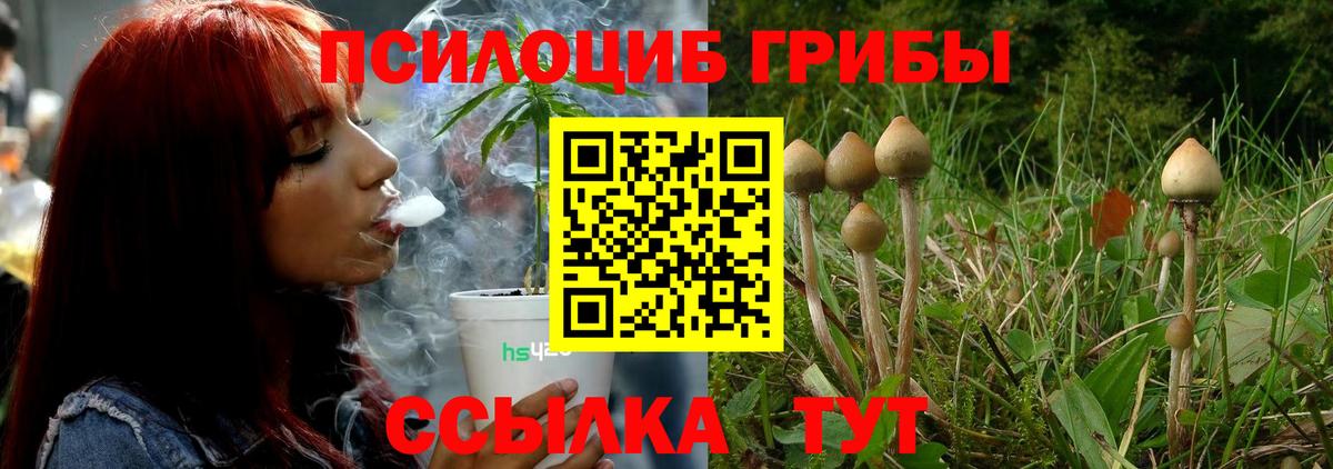 Галлюциногенные грибы MAGIC MUSHROOMS Петрозаводск